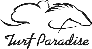 Just Paradise Logo