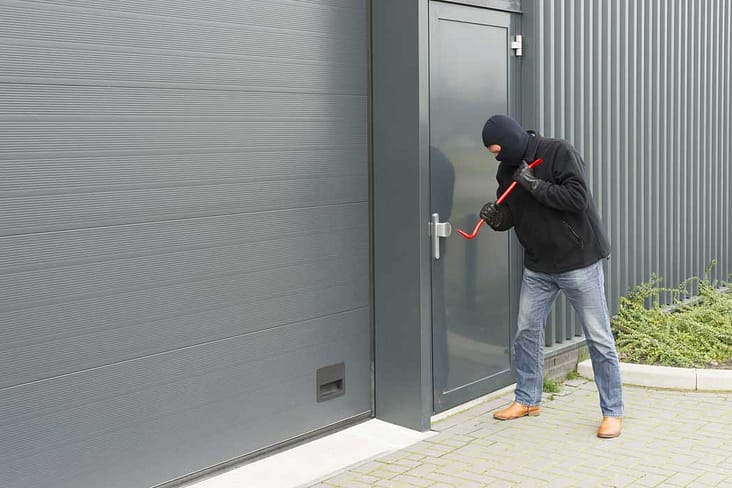 Burglar